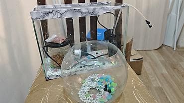 Salam artıq balıq saxlamıram deyə satıram 2 ədəd akvarium, hava — 2