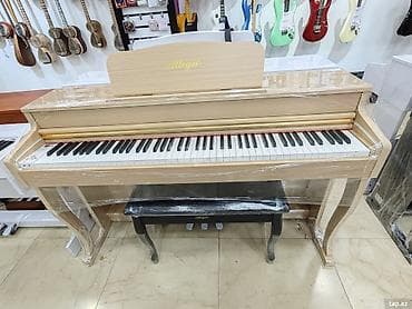 Elektro piano Endirim 💣 Elektro piano Zəmanət - 12 ay Allegro — 2