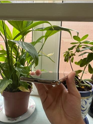 Mətbəx texnikası: IPhone Xs Max, 64 GB, Qızılı, Face ID — 4