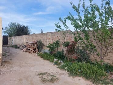 xacmaz rayonu seyidli kəndində torpaq sahəsi satılır: Mülkiyyətçi, Bələdiyyə — 4