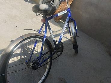 cube velo: Şəhər/kruser tipli velosiped – Capriolo Navigator 335 Xüsusiyyətlər — 2