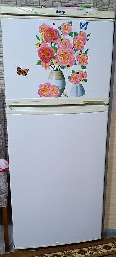 2 qapılı Dnepr Soyuducu Satılır, rəng - Ağ