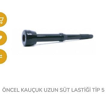 süd sagan: Cüt bidon, Türkiyə — 4