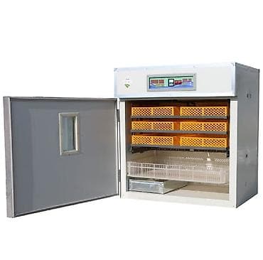 Inkubator inqibator inkibator inqubator Sənaye tipli inkubatorlar 528 — 3