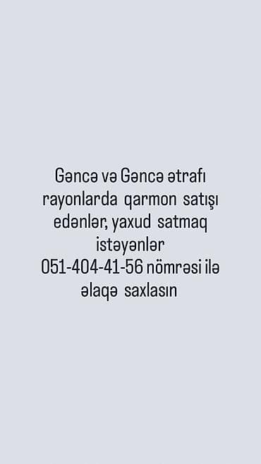 azpay əlaqə: Qarmon alqı-satqısı xidməti – Gəncə və ətraf rayonlar - Gəncə şəhəri — 1