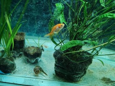 bmw 1 серия 114i mt: Вместе с рыбами, 780 л, Самовывоз — 5