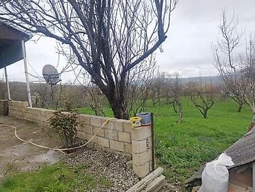 Kənd təsərrüfatı