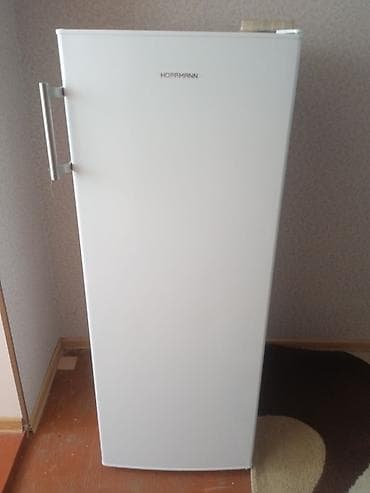 1 qapılı Hoffman Soyuducu Satılır, rəng - Ağ lalafo.az -da 1 qapılı Hoffman Soyuducu Satılır, rəng - Ağ