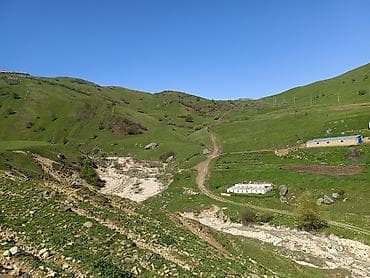 berdede torpaq: 105 sot, Kənd təsərrüfatı, Mülkiyyətçi, Kupça (Çıxarış) — 7