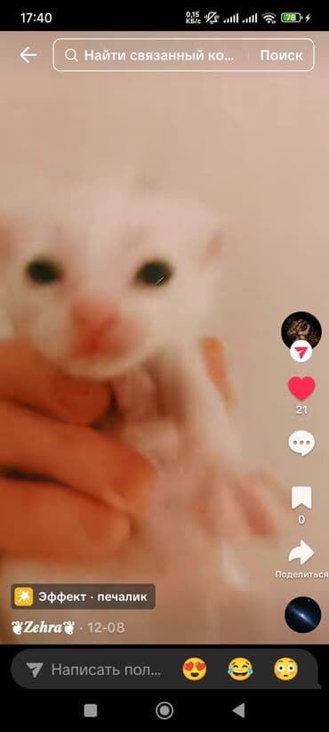 pişik oyuncaqları: Dişi — 5