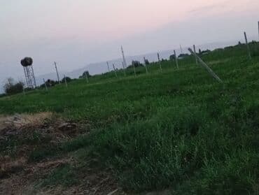 qaracuxurda kiraye evler 2020: 8 sot, Tikinti, Mülkiyyətçi, Kupça (Çıxarış) — 9