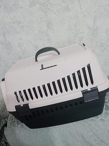 Кошки: It ve pisik ucun dawima cantasi.almaniyadan getizdirmiwik bir defe — 3