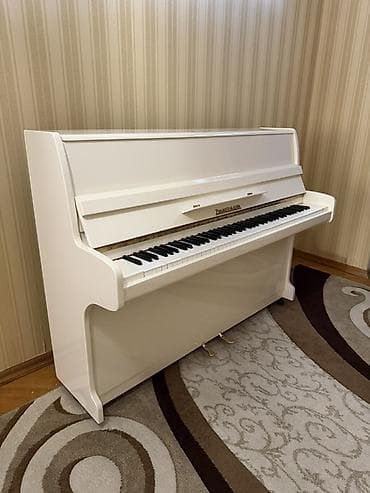 Elektrik nəqliyyatı: Piano, Zimmermann, Akustik — 3