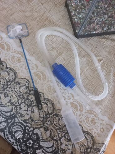 Gəmiricilər: Akvarum satılır 40 selqiledir lazim üçün fso — 4