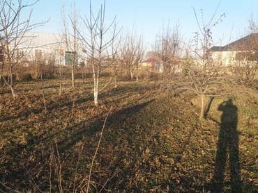 аренда и продажа недвижимости: 13 соток, Для сельского хозяйства, Собственник, Договор — 10