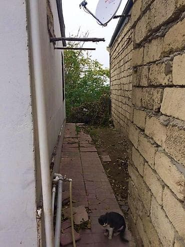 albalida evler: 9-cu mikrorayon 5 otaqlı, 515 kv. m, Təmirsiz — 9