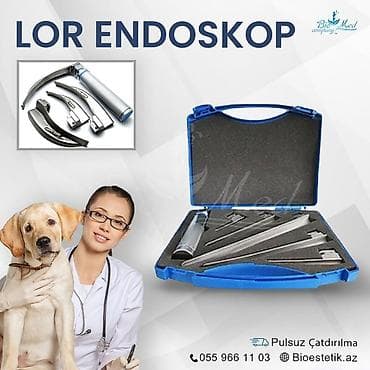 Heyvanlar üçün lor endoskop