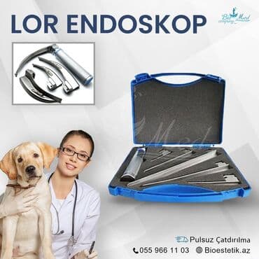 evren cuce yemi: Heyvanlar üçün lor endoskop — 1