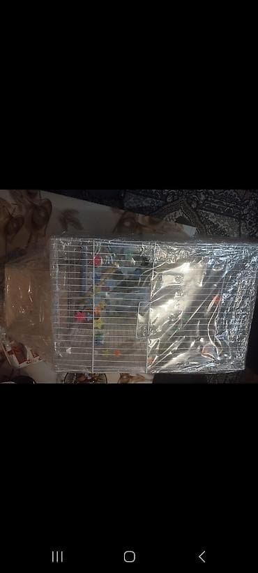 Gəmiricilər: 1cüt karella qəfəs yem və su qabilari yellənçək yuva qusdarda hazır — 3