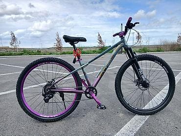 volta vsx: Dağ/şəhər tipli velosiped – 29” təkərlər - Çərçivə: yüngül lehimli — 1