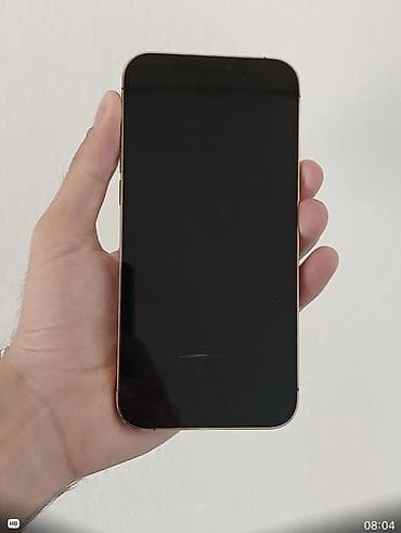 alfa electronics: IPhone 12 Pro Max, 256 GB, Qızılı, Face ID — 2