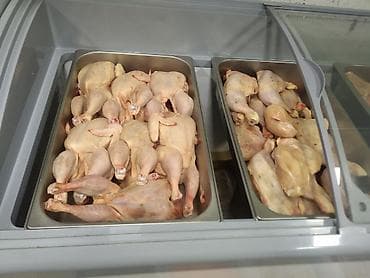 gence ev kiraye: 6️⃣2️⃣0️⃣0️⃣0️⃣ Aznə Satılır. 6️⃣0️⃣0️⃣ Azne icareye verilib. ☑️Zeng — 6