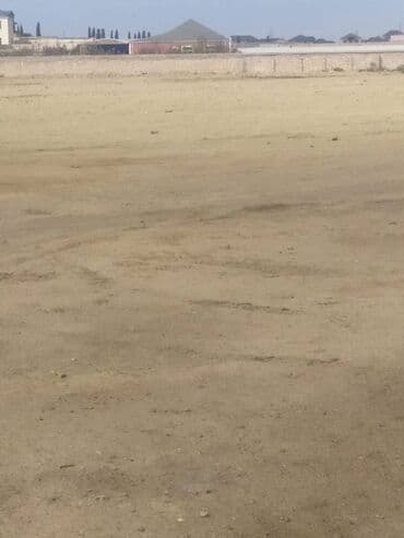 Kirayə torpaq sahələri: Tikinti — 2