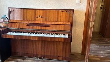 Fleytalar: Piano, Belarus, Akustik — 4