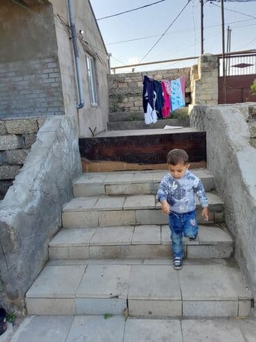 xacmazda torpaq: Kənd təsərrüfatı — 8