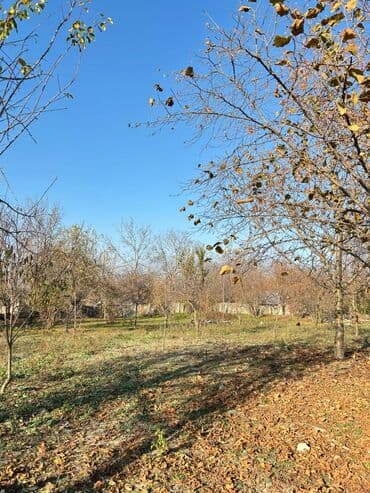 Qarajlar: 17 sot, Tikinti, Mülkiyyətçi, Kupça (Çıxarış) — 9