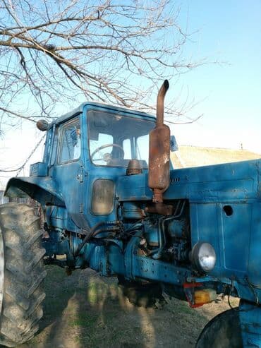 traktor altlıqlı qış çəkmələri: Трактор Belarus (MTZ) 80, 1986 г., 80 л.с., мотор 8.8 л, Б/у — 4
