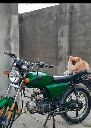 mapedlər: Yaşıl rəngli yüngül motosiklet - Korpus: metal çən və plastik yan — 2