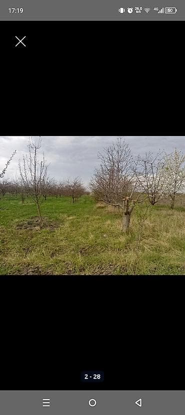 gence emlak satisi: Kənd təsərrüfatı — 1