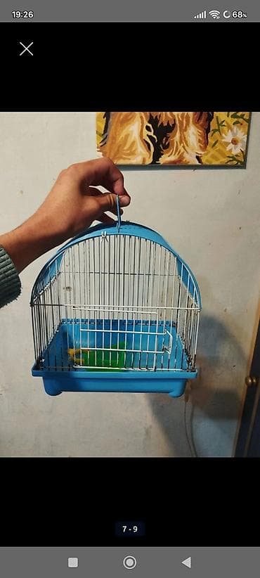 ♨️♨️⚠️⚠️hamısı birlikdə 10 azn TƏCİLİ SATILIR — 2