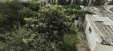 xacmaz torpaq: 3 sot, Tikinti, Mülkiyyətçi, Kupça (Çıxarış) — 4