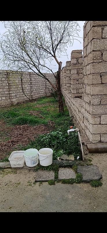 kiraye ev 28 may: Satilir. Təsvir: - Taxta üzlü tavan və cilalanmış taxta döşəmə - — 9