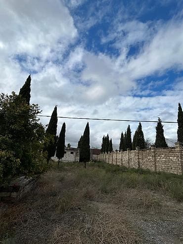 zirede torpaq: 24 sot, Tikinti, Mülkiyyətçi, Kupça (Çıxarış) — 9