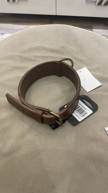 itler ucun xaltalar: İt xaltası yenidi heç taxılmayıb bahalı xaltadı maraqlanan bilən bilər — 5