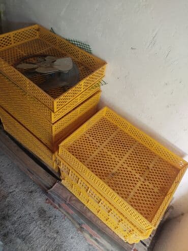 inkubator: 2eded inkubator 352 ededlik 300 azn 2nci 400 ededlik radiozavod — 2