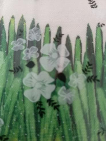 Ördek yumurtasi satılır