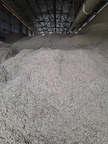 simental inek qiymeti: Yüksək keyfiyyətli çiyid. Hal-hazırda məhsul çoxdur. İri həcmli — 4