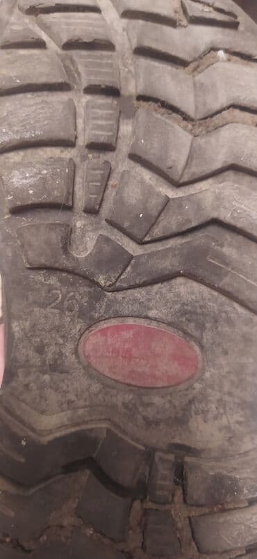 uşaq krossovkaları: Botinka, Oğlan üçün, 26 — 8