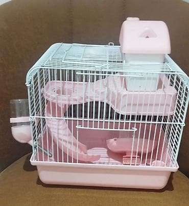 hamster qiymətləri: Yashil qefes 25 azn basqa qefeslerde var tezediler qiymeti 15 aznden — 4