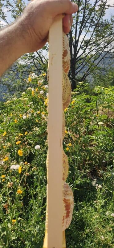 продается мед: ELF BEE'S 1977 ECO-PRODUCT FOR HEALTH AND LONGEVITY Tovuzun — 18