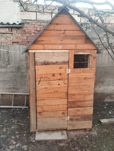 Gögercin yuvasi satılır