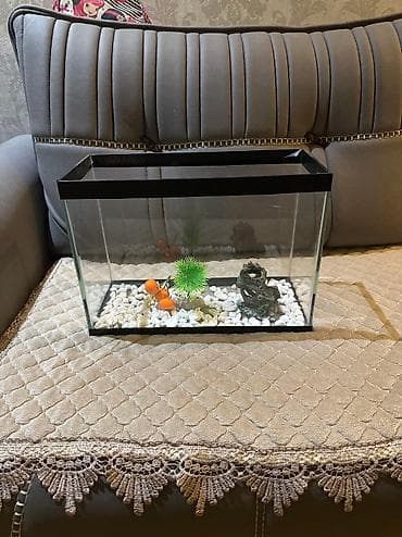 Dördbucaq akvarium, Boş, 8 l, Ünvandan götürmə — 1