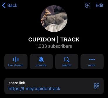 Telegram sehife satilir