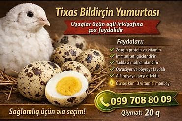 ördek yumurtası: Məhsul: Tixas bildirçin yumurtası Təsvir: - Uşaqların əqli inkişafına — 1