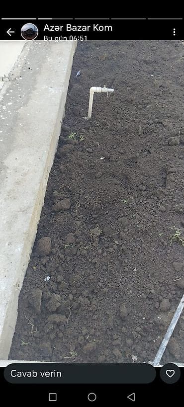 ailə agacı: Məhsul: Qara torpaq (bağ və landşaft işləri üçün)İsmayıl şamaxi — 1