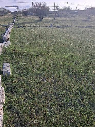 saray heyet ev type 1: 12 sot, Tikinti, Mülkiyyətçi, Kupça (Çıxarış) — 5